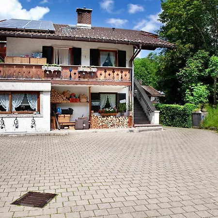 Brunnsteinnest