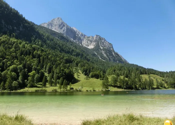 Brunnsteinnest *