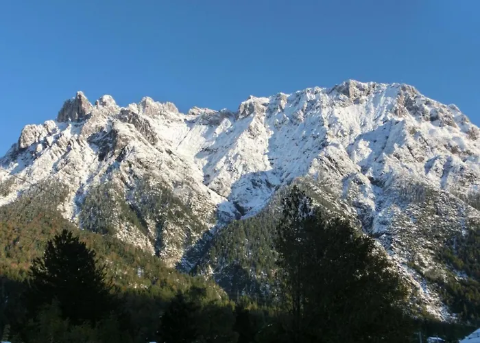 Brunnsteinnest Mittenwald